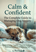 Calm & Confident: The Complete Guide to Managing Dog Anxiety