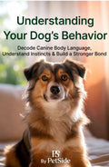 Understanding Your Dog’s Behavior: The PetSide Complete Guide