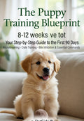 The Puppy Training Blueprint: Your Step-by-Step Guide to the First 90 Days